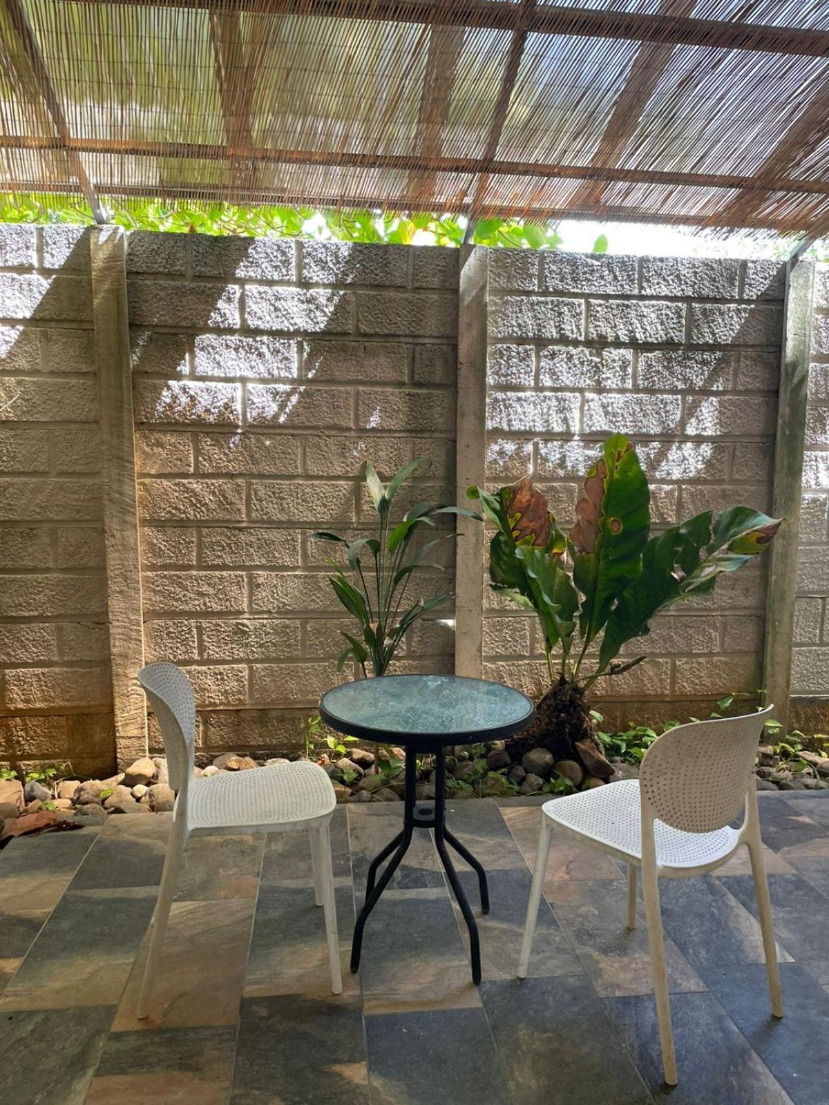 Cabinas El Colibri Puerto Carrillo Εξωτερικό φωτογραφία